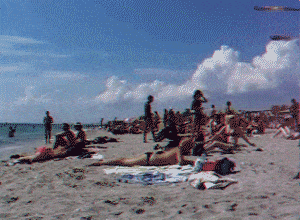 Public Sex Pics Nude Beach Pics Flashing GIFS