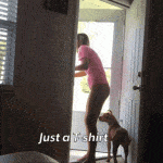 pizzadare: We see lots of topless Pizza Dares. This is Top on…