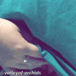 valleyof-orchids: No panties? No problem ? I’m a little…