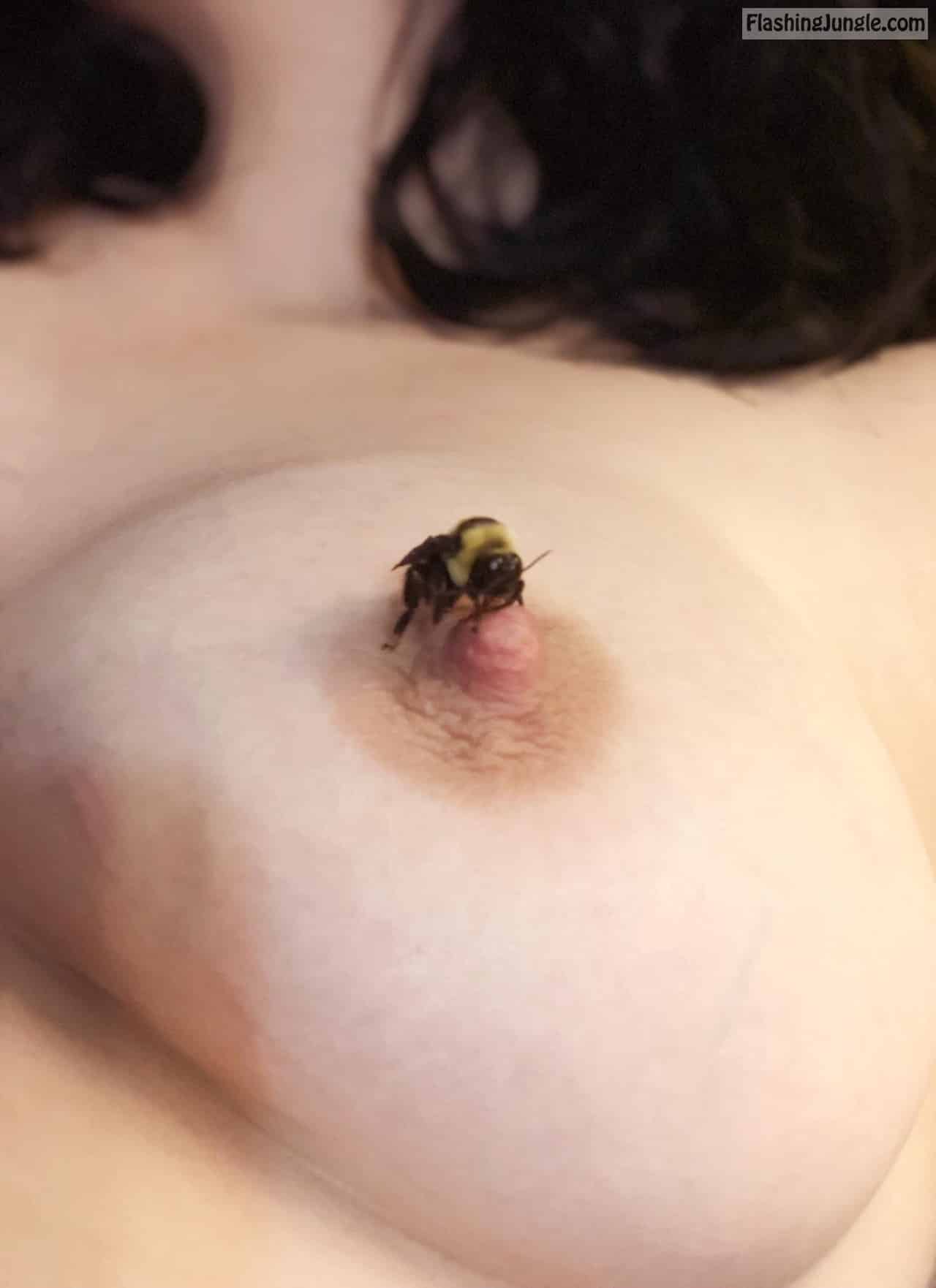 Bee on nipple public flashing 