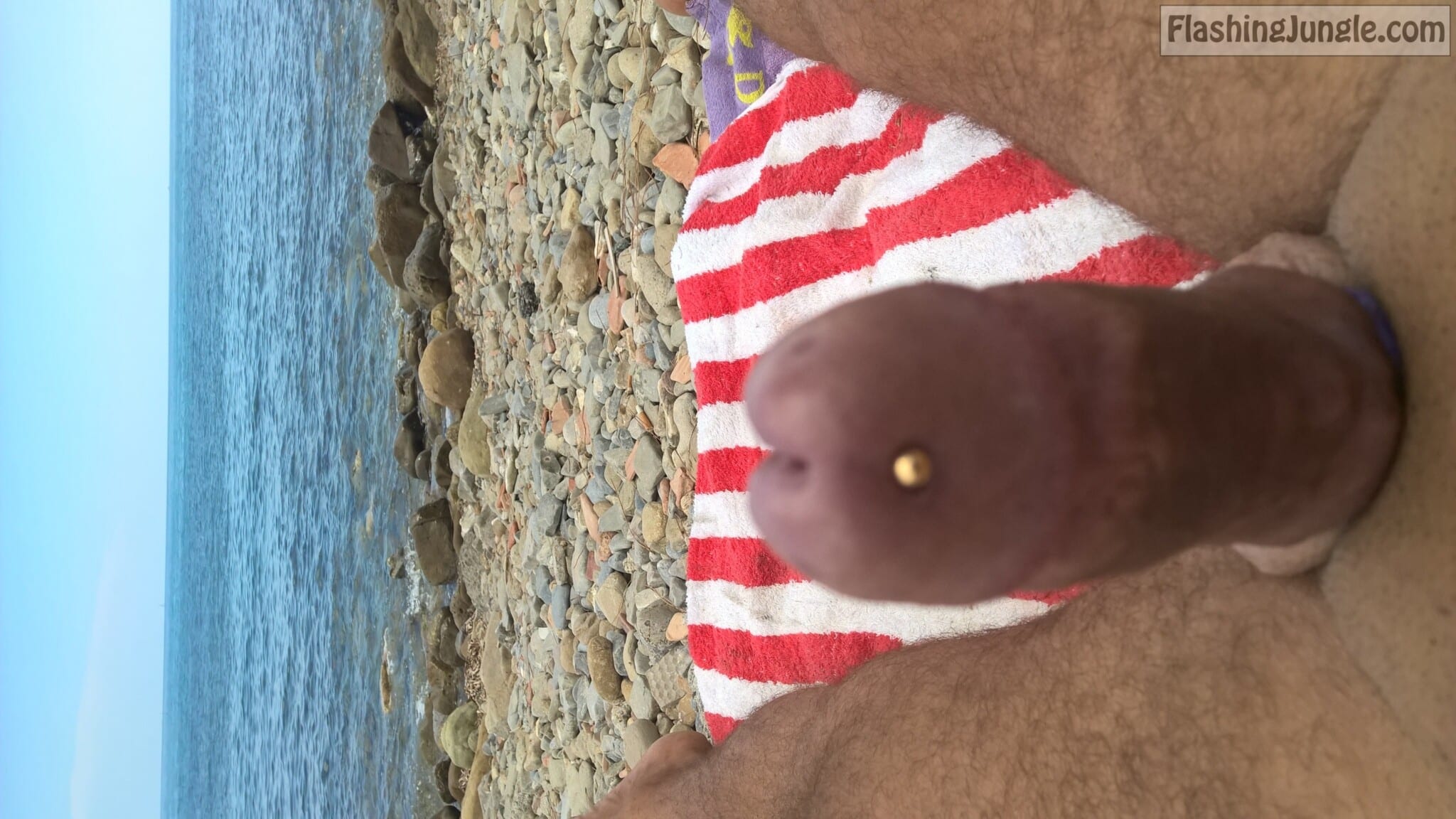 Nude Beach Pics Dick Flash Pics - Amateur dick flash on beach piercing show off
