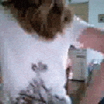 tumblr_ovfzjoPQjr1vj2zayo1_400
