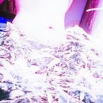tumblr_o62pjuteBu1ujl5iio1_1280