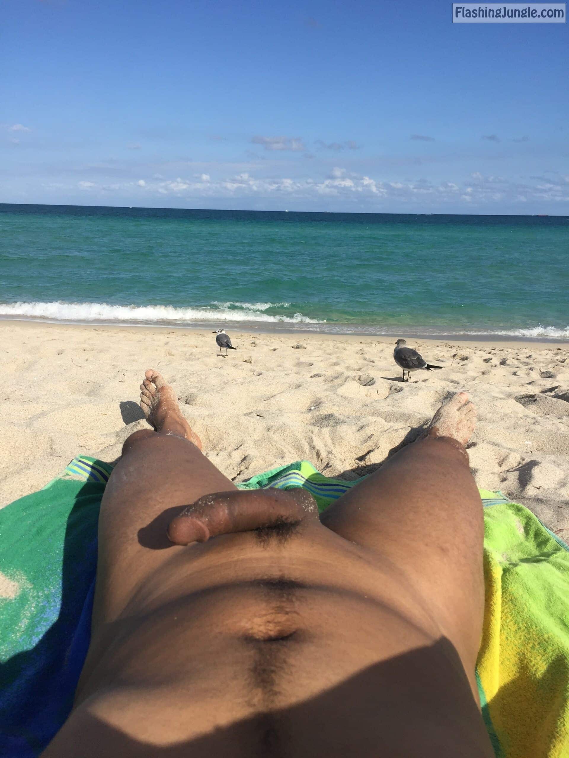 Miami Beach real nudity public nudity dick flash
