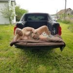 Farm Girl posing naked in the back of the pickup truck