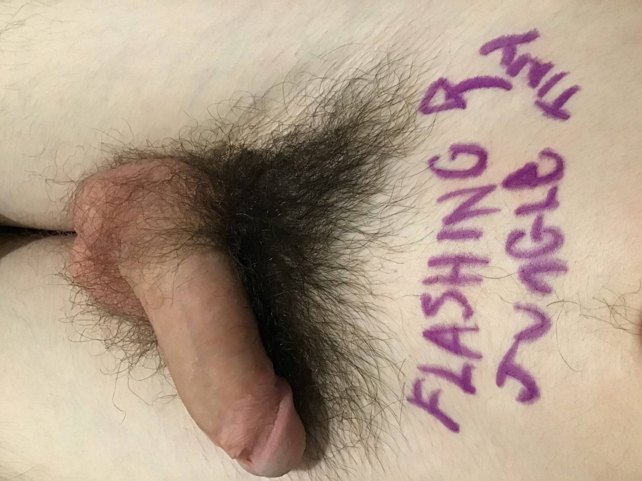 Dick Flash Pics: Tiny penis for u Dick flash