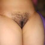 Jungle Encounter: Flashing Desire